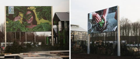 Zwei LED-Displays mit Bildern von Pflanzen und Händen in Erde, Gartenmotiv