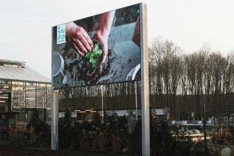 Outdoor LED-Wand – großformatige digitale Werbefläche im Außenbereich Große Outdoor LED-Wand mit Pflanzmotiv, installiert auf Metallpfosten im Außenbereich neben einem Gebäude