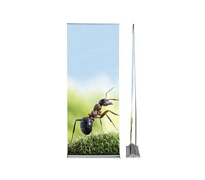Expolinc Roll-Ups
